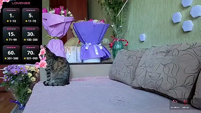 Miss Flexi fit online show from March 8, 12:08 pm