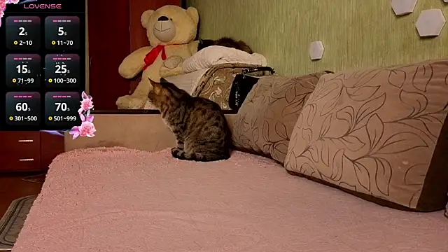 Miss Flexi fit online show from April 9, 4:57 pm