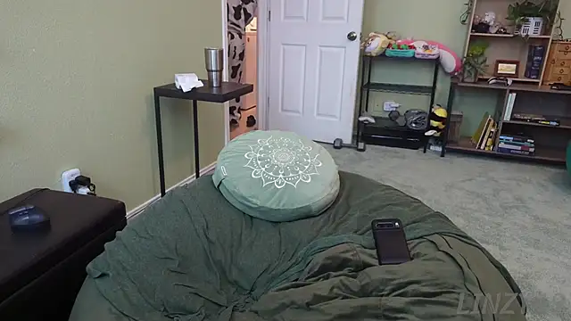 Linzy 19 online show from December 17, 2:33 pm