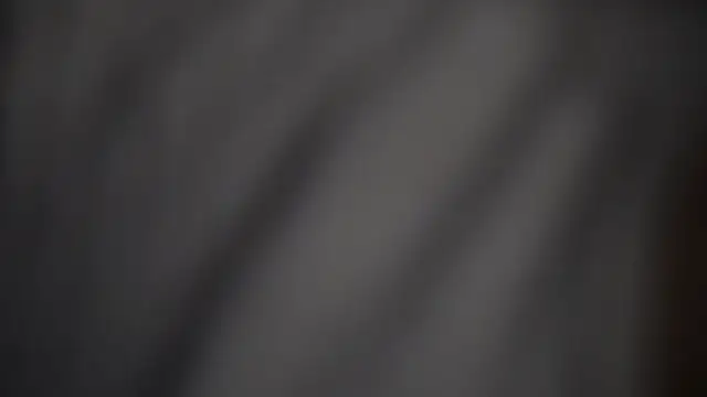 -AyeshaSinghania- online show from February 17, 1:30 pm