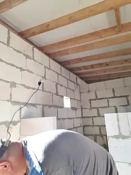 Pandasky online show from November 5, 9:01 am