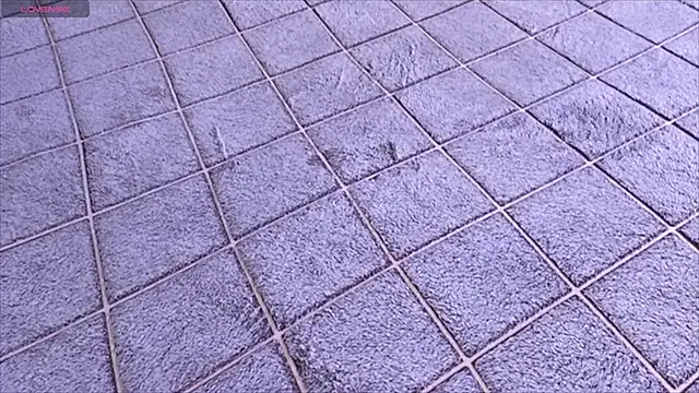 viviann evans online show from January 13, 12:58 am