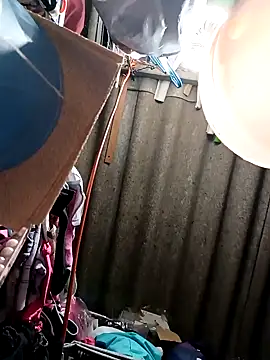 Rayito6969xh online show from February 5, 3:41 pm