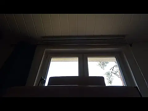 Rainfish online show from May 24, 11:10 am