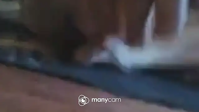 immerGeil79 online show from April 5, 5:58 am