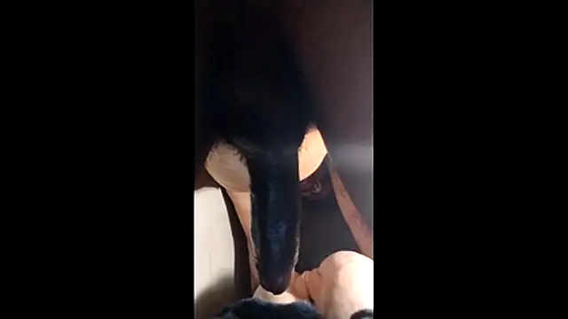 Bigcockmexi13 online show from November 23, 12:48 pm