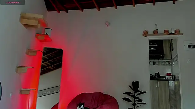 Rainbow leia online show from November 15, 7:40 pm