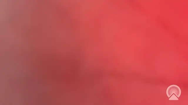 Aulonocara86 online show from February 10, 12:15 pm