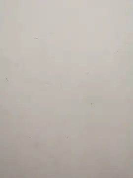 Snapshot of Shuttii_25 chatting on February 17, 5:04 am Shuttii 25 online show from February 17, 5:04 am