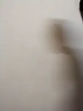 Snapshot of Shuttii_25 chatting on December 28, 4:19 am Shuttii 25 online show from December 28, 4:19 am