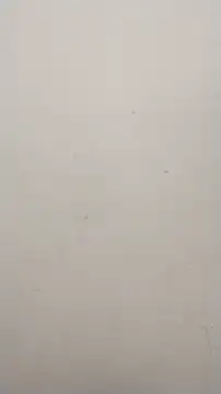 Snapshot of Shuttii_25 chatting on January 25, 10:08 am Shuttii 25 online show from January 25, 10:08 am