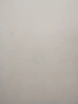 Snapshot of Shuttii_25 chatting on January 31, 5:40 am Shuttii 25 online show from January 31, 5:40 am