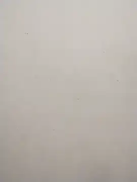 Snapshot of Shuttii_25 chatting on February 10, 9:14 am Shuttii 25 online show from February 10, 9:14 am