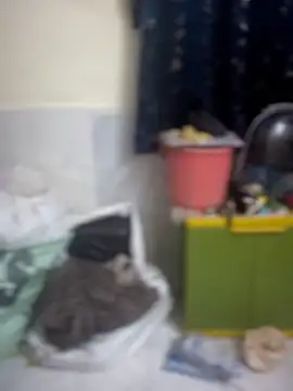 PARI Hun online show from April 9, 12:11 pm