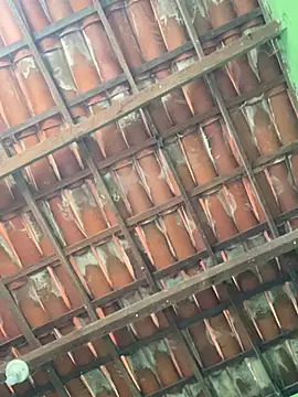 Duduhott online show from January 18, 12:41 pm