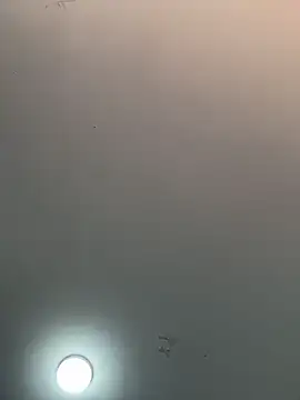  alabina  online show from February 5, 1:29 pm