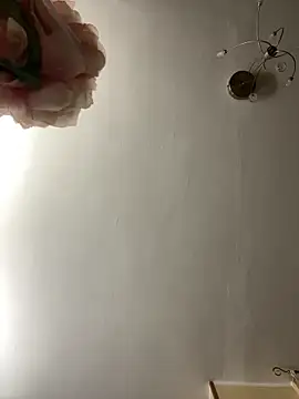 h4cAlex online show from November 15, 4:00 pm