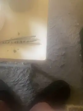 chrille82 online show from April 18, 5:43 am