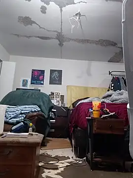 ColdVisitor online show from February 25, 1:39 am