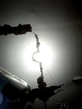 ColdVisitor online show from February 6, 1:34 am