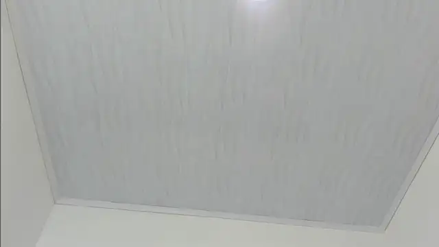 Snapshot of merlyna_goldens chatting on November 22, 11:31 am merlyna goldens online show from November 22, 11:31 am