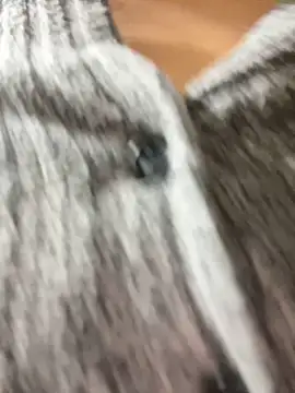 Asia-Lynn online show from March 12, 4:56 pm