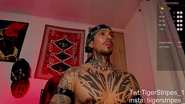 TigerStripes1  online show from March 19, 6:24 am