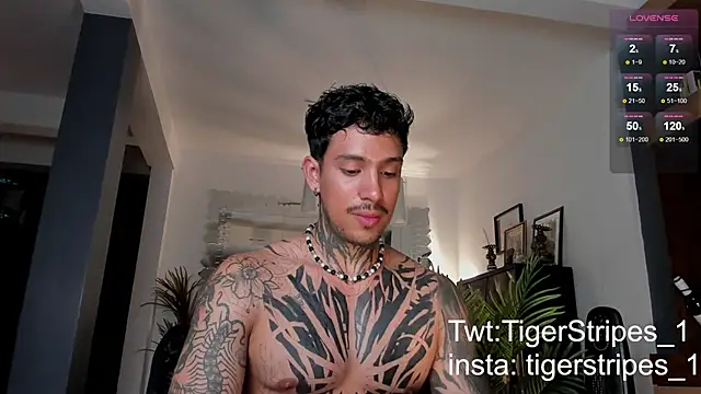 TigerStripes1  online show from February 28, 12:43 am