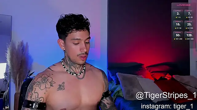 TigerStripes1  online show from February 2, 10:28 pm