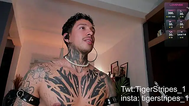 TigerStripes1  online show from February 24, 11:19 pm