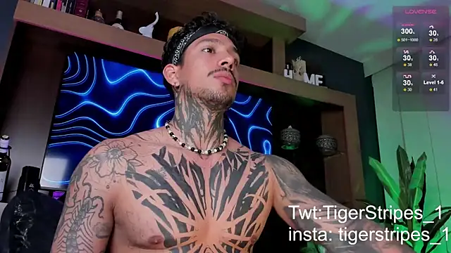 TigerStripes1  online show from March 9, 12:31 am