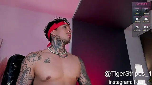 TigerStripes1  online show from January 16, 1:48 am