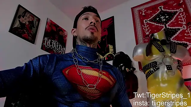 TigerStripes1  online show from March 21, 4:57 am