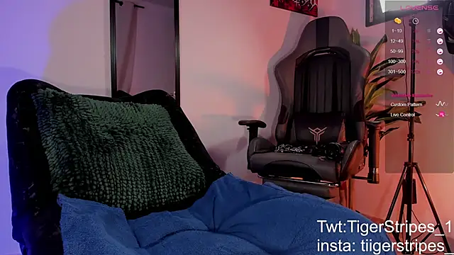 TigerStripes1  online show from March 28, 11:33 am