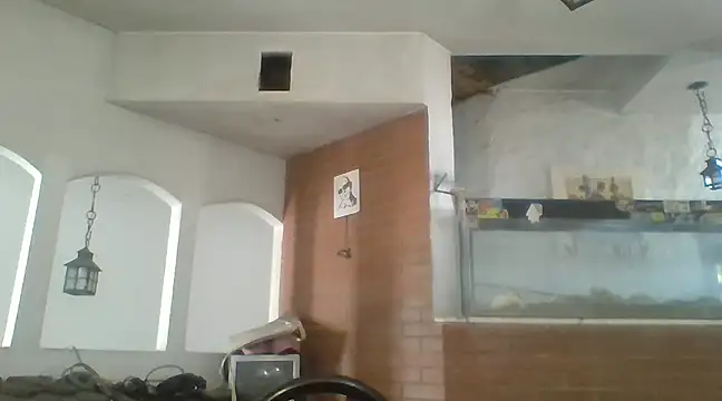 Stevenson988 online show from February 6, 7:07 pm