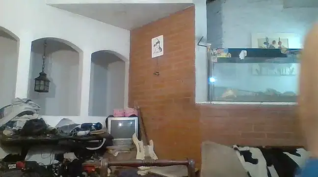 Stevenson988 online show from February 15, 12:26 am