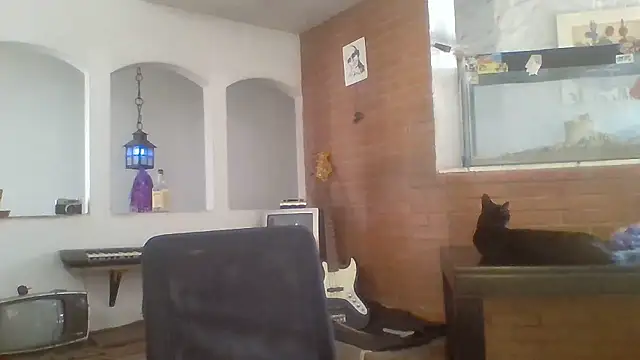 Snapshot of Stevenson988 chatting on January 14, 6:00 pm Stevenson988 online show from January 14, 6:00 pm