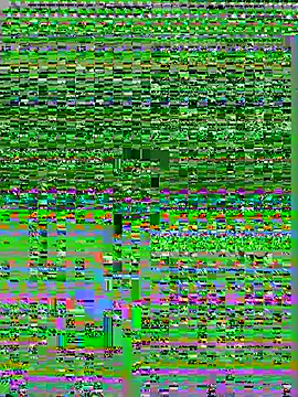 kvr27 online show from July 12, 1:34 pm