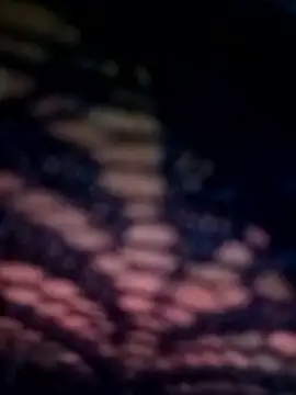 Snapshot of 09punjabi chatting on March 13, 2:44 pm 09punjabi online show from March 13, 2:44 pm