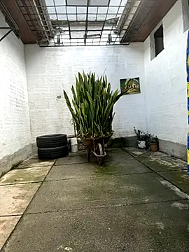 oliver price1 online show from October 27, 7:26 pm