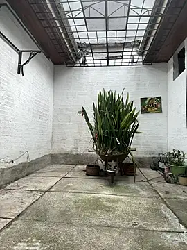 oliver price1 online show from January 10, 8:26 pm