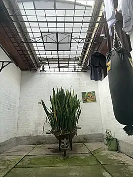 oliver price1 online show from February 17, 2:58 pm