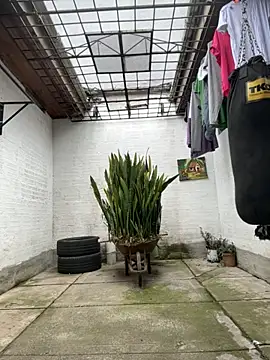 oliver price1 online show from October 29, 7:35 pm