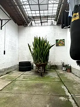 oliver price1 online show from November 15, 6:45 pm