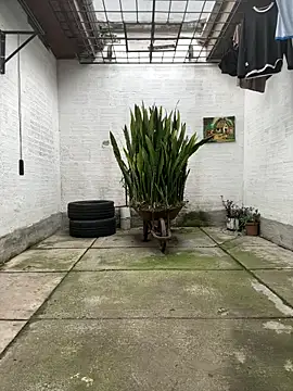 oliver price1 online show from November 13, 9:19 pm