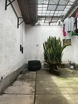 oliver price1 online show from October 25, 4:29 pm