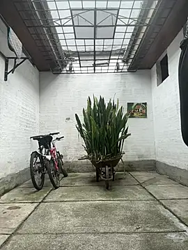 oliver price1 online show from March 23, 6:52 pm