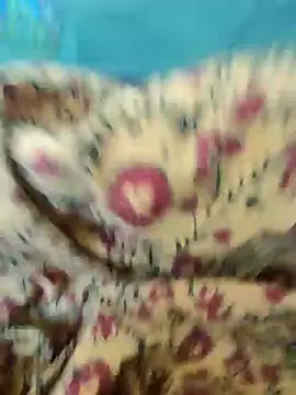 Kolkata   Boy online show from February 18, 8:27 am